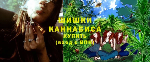 PSILOCYBIN Лихославль