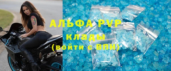 PSILOCYBIN Лихославль