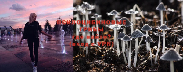 PSILOCYBIN Лихославль