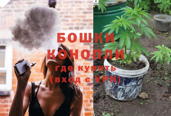 PSILOCYBIN Лихославль
