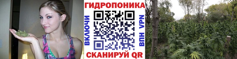 Канабис Ganja  Ахтырский 
